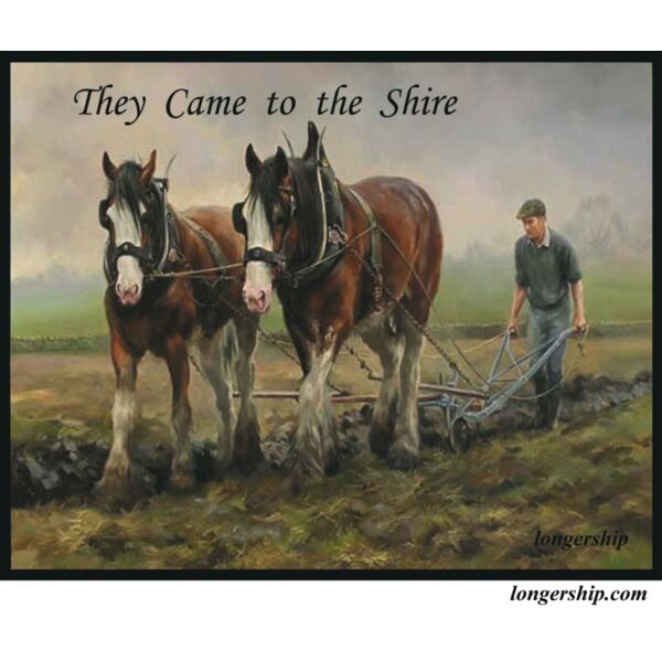 shire Thumbnail