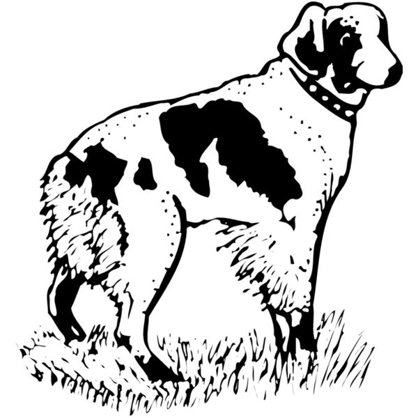 Dogs Thumbnail