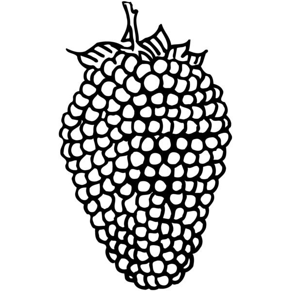 Fruit Thumbnail